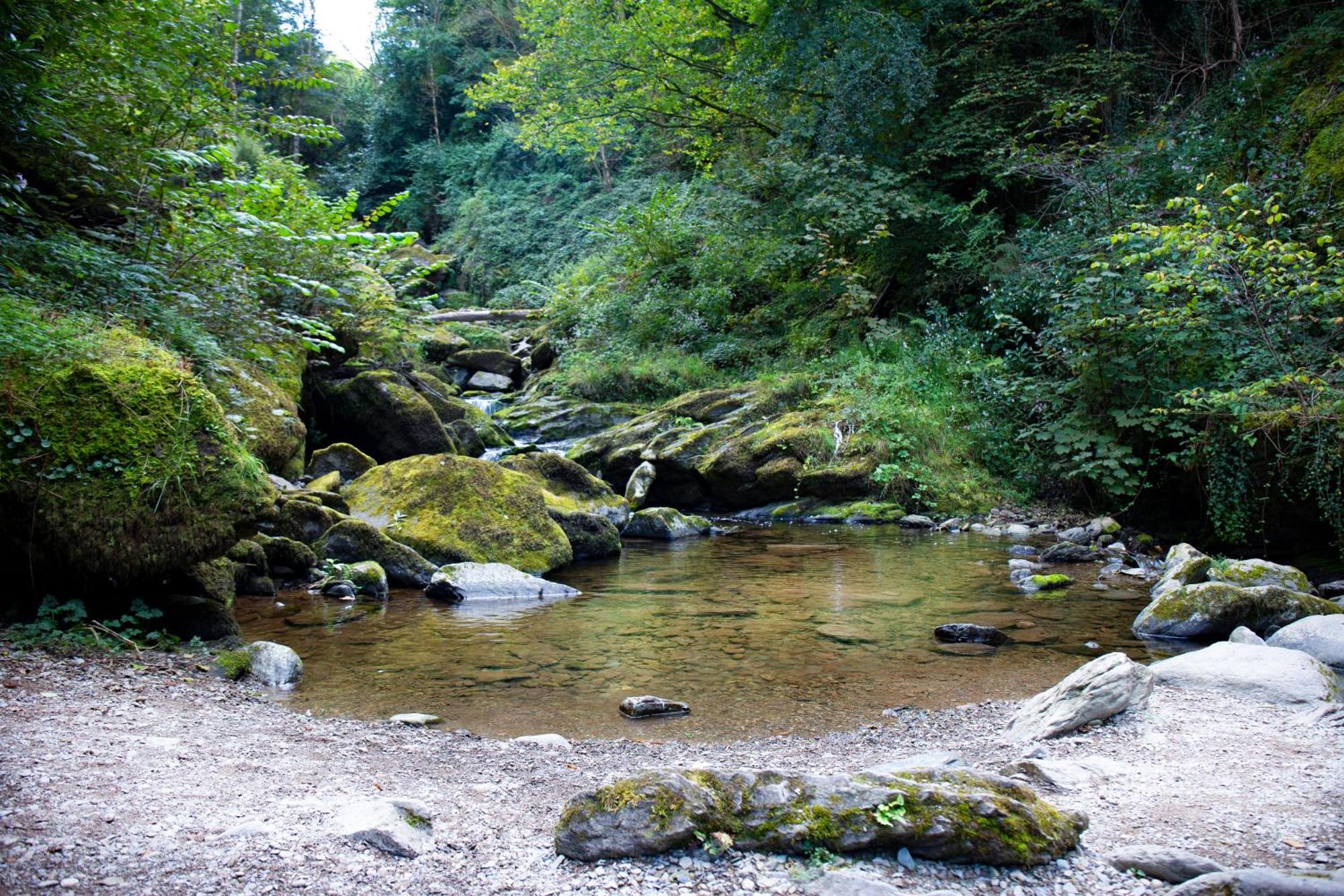 Tors Park Apartman Lynmouth Kültér fotó